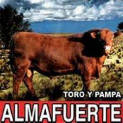 Almafuerte : Toro y Pampa